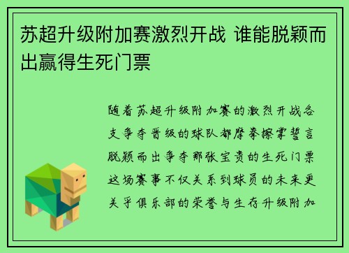 苏超升级附加赛激烈开战 谁能脱颖而出赢得生死门票